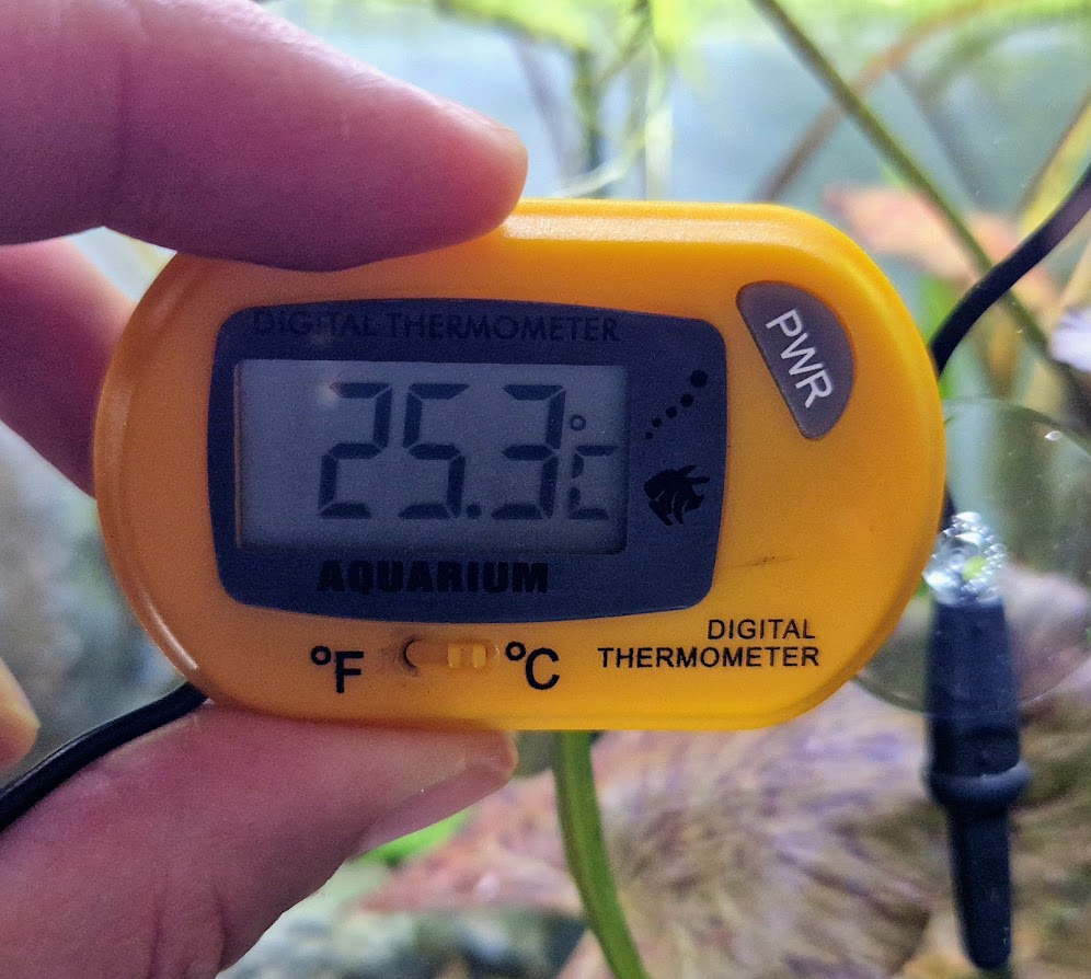 Ein digitales Thermometer für das Aquarium
