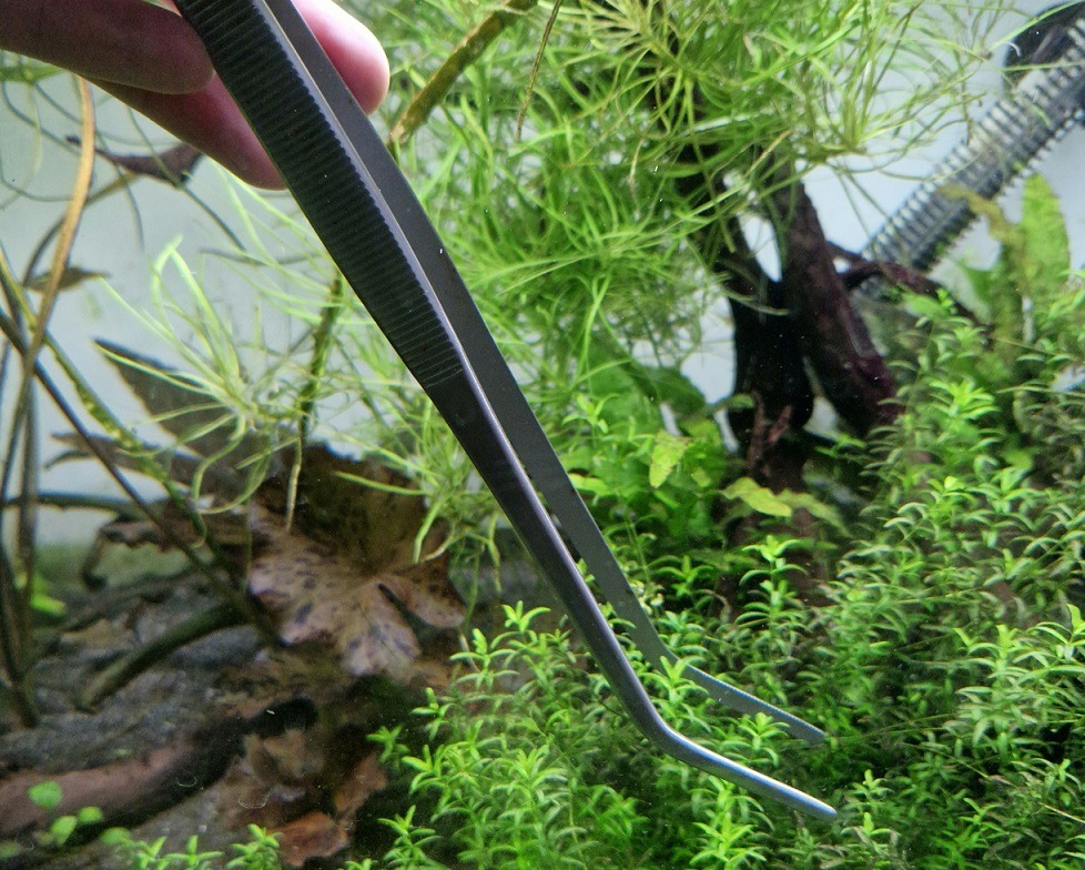 Aquascaping Tools für das Aquarium